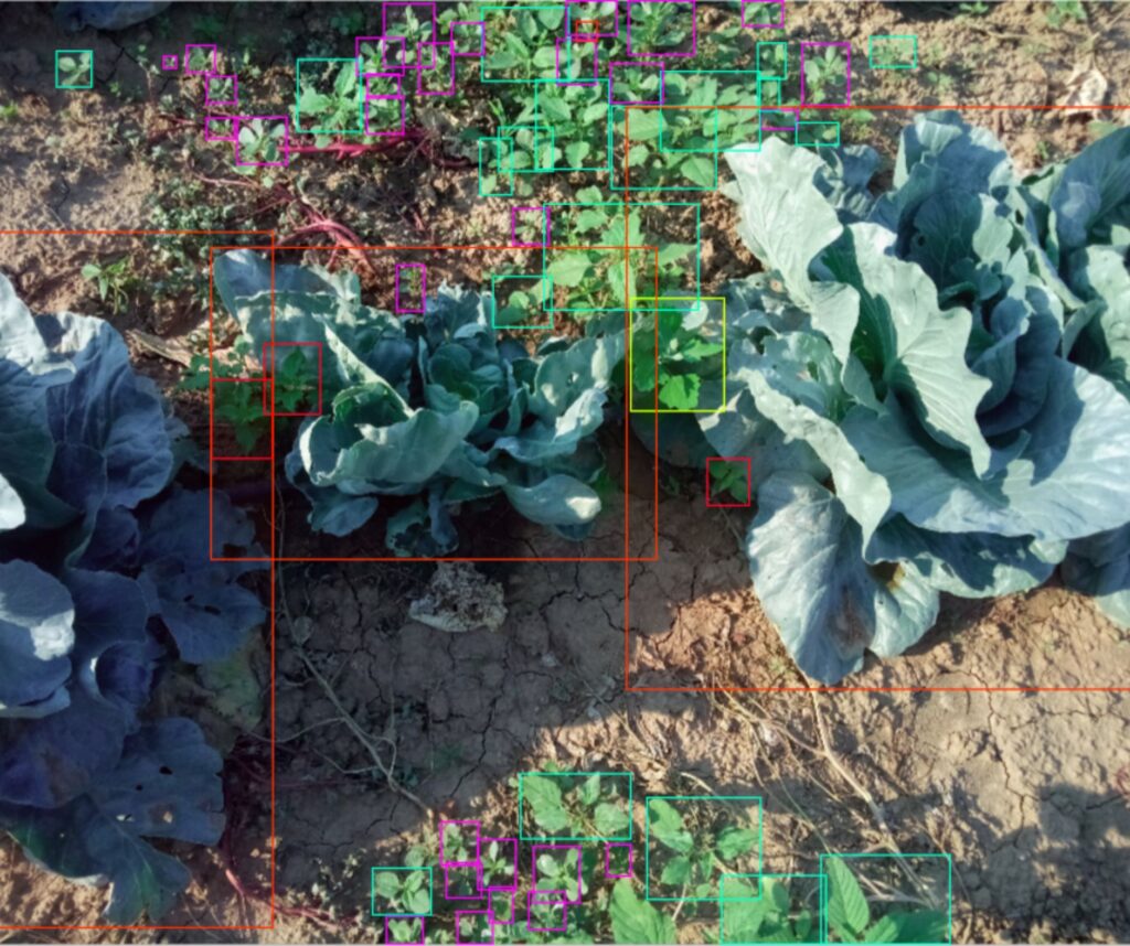 Weed detection for precision spraying